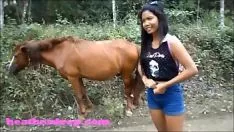 Redare Filme Porno Cu O Tanara Care Se Fute Cu Un Cal Xxx Animale Porno 2017 Real